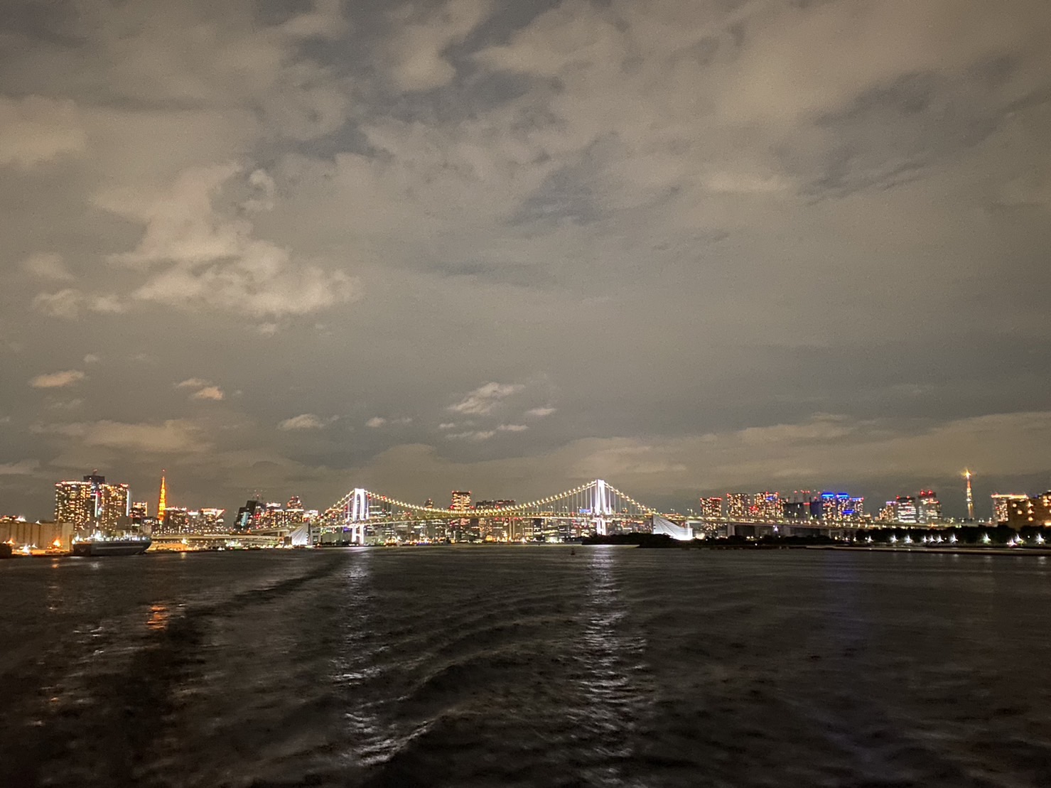 橘丸からの東京湾の夜景