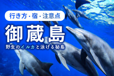 【御蔵島の行き方・宿・注意点】日本国内で野生のイルカと泳げる秘島を徹底解説！